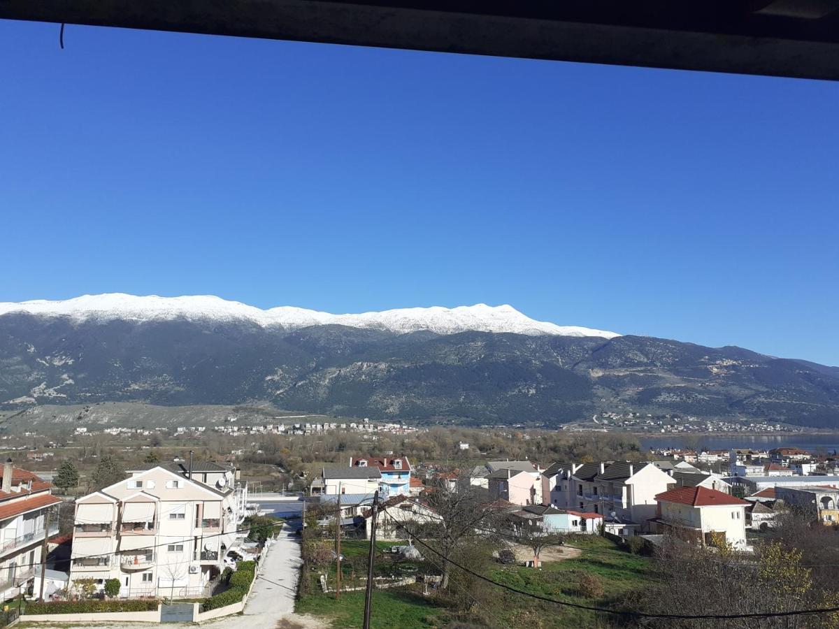 The View Attic Apartment Ioannina Exterior photo