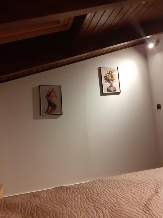 The View Attic Apartment Ioannina Exterior photo